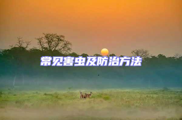 常見(jiàn)害蟲(chóng)及防治方法