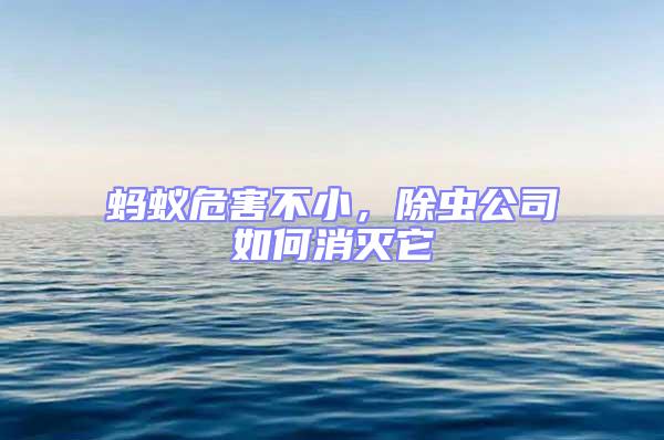 螞蟻危害不小，除蟲(chóng)公司如何消滅它