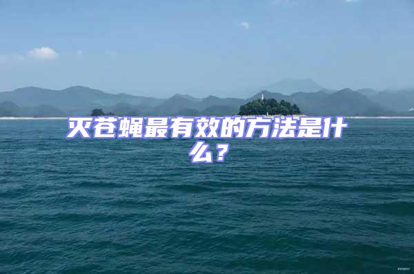 滅蒼蠅最有效的方法是什么？