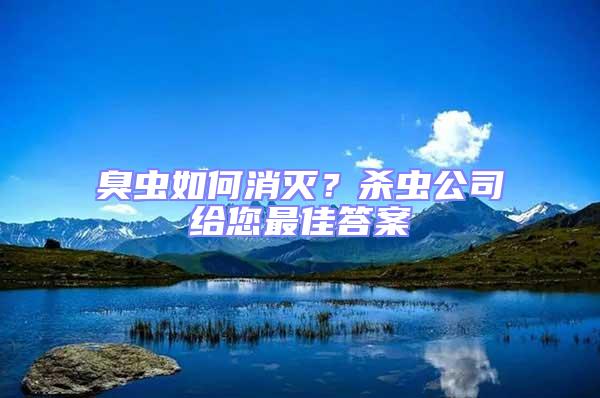 臭蟲如何消滅？殺蟲公司給您最佳答案