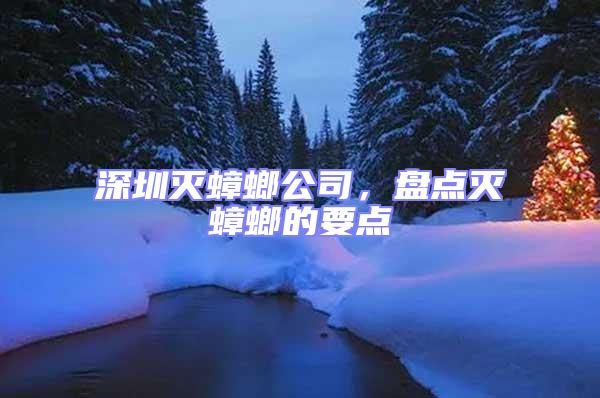 深圳滅蟑螂公司，盤點(diǎn)滅蟑螂的要點(diǎn)