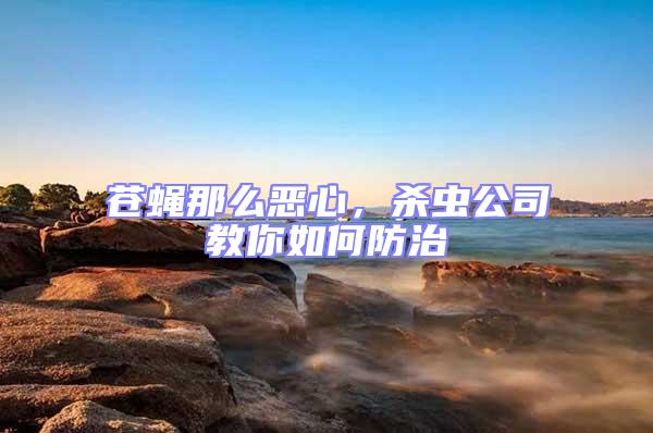 蒼蠅那么惡心，殺蟲公司教你如何防治