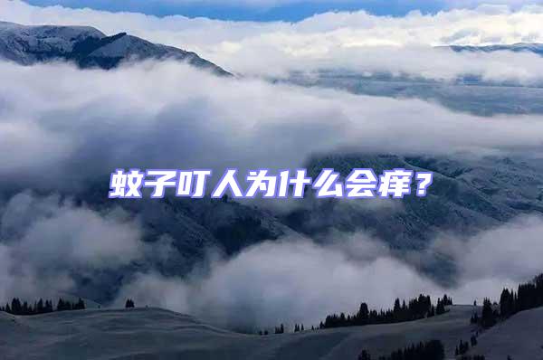 蚊子叮人為什么會癢？