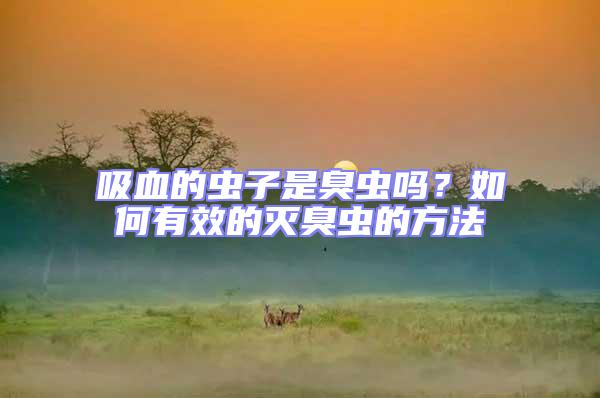 吸血的蟲子是臭蟲嗎？如何有效的滅臭蟲的方法