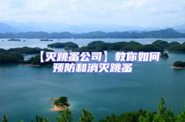 【滅跳蚤公司】教你如何預(yù)防和消滅跳蚤