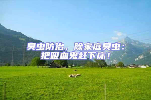 臭蟲防治，除家庭臭蟲：把吸血鬼趕下床！