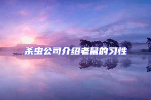 殺蟲公司介紹老鼠的習(xí)性