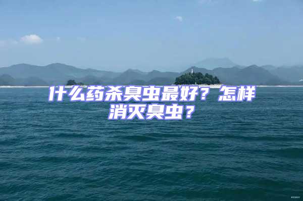 什么藥殺臭蟲最好？怎樣消滅臭蟲？