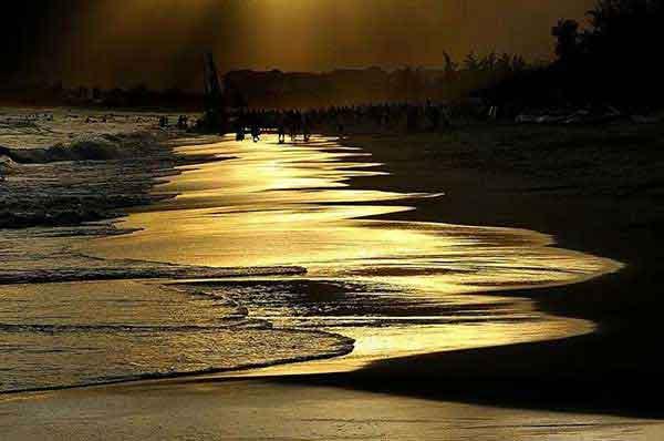 夏天來了，如何防止蚊蟲叮咬