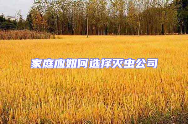 家庭應如何選擇滅蟲公司