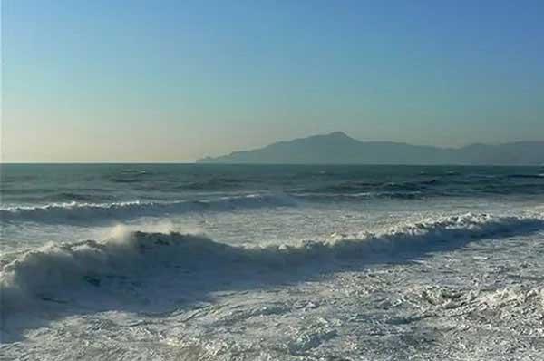 老鼠怕什么東西？怕什么味道和聲音？