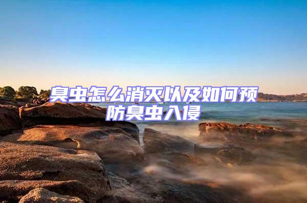 臭蟲(chóng)怎么消滅以及如何預(yù)防臭蟲(chóng)入侵