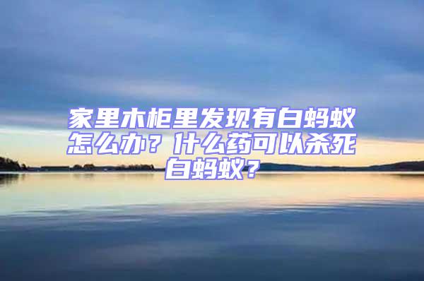 家里木柜里發(fā)現(xiàn)有白螞蟻怎么辦？什么藥可以殺死白螞蟻？