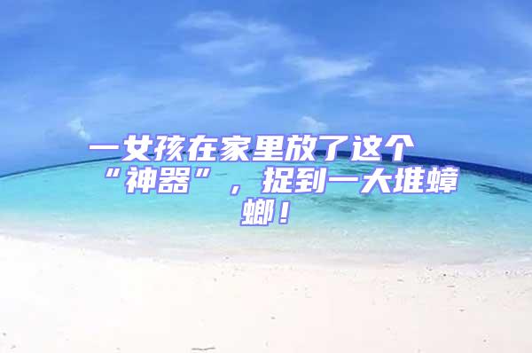 一女孩在家里放了這個(gè)“神器”，捉到一大堆蟑螂！