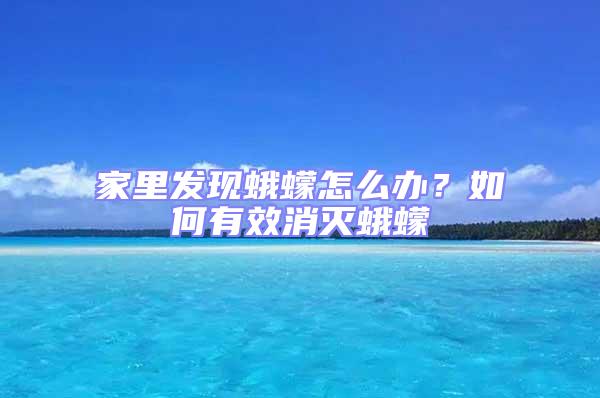 家里發(fā)現(xiàn)蛾蠓怎么辦？如何有效消滅蛾蠓