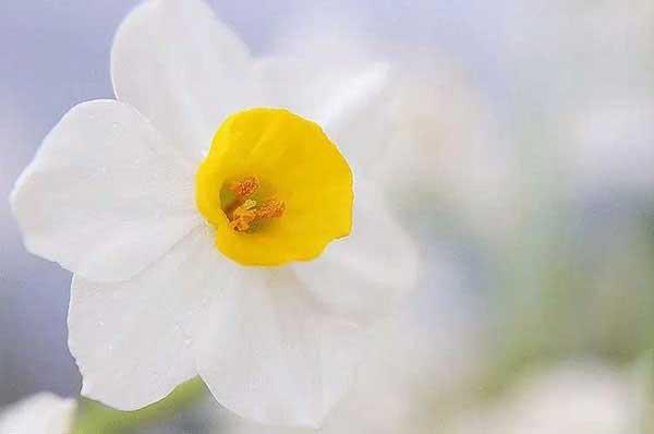 【除臭蟲(chóng)公司】為什么臭蟲(chóng)能耐得住“饑寒交迫”？