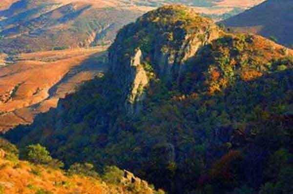 讀《中國有害生物防治通訊》2012年第3期＜滅鼠指南（7）＞的一點(diǎn)感想