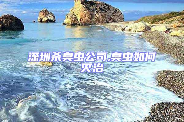 深圳殺臭蟲(chóng)公司,臭蟲(chóng)如何滅治
