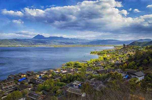 深圳滅螞蟻公司提示如何正確防治螞蟻？