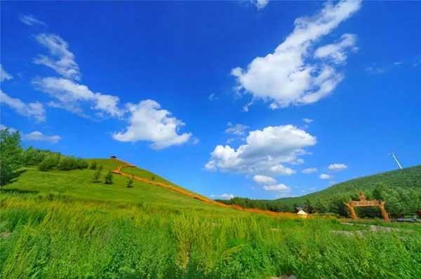 蟑螂繁殖的有多快？