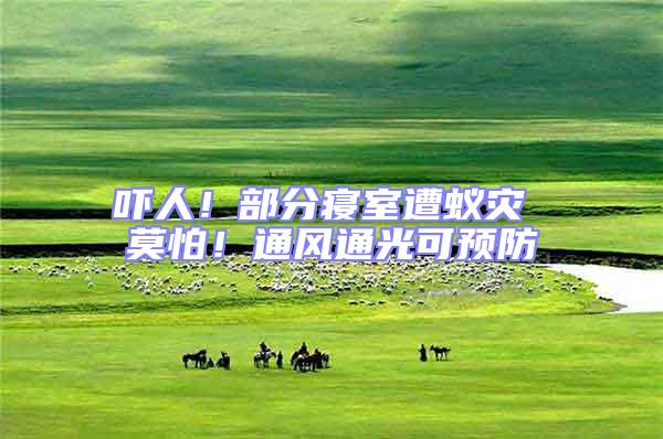 嚇人！部分寢室遭蟻災(zāi) 莫怕！通風(fēng)通光可預(yù)防