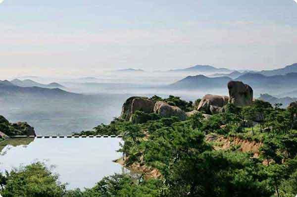 深圳白蟻防治：房屋裝修，哪些部位成為白蟻危害的重點部位