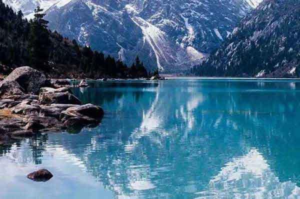 深圳病媒生物預(yù)防控制-深圳殺蟲除蟲公司的服務(wù)標準