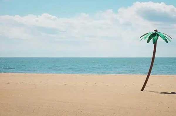 深圳白蟻防治：預(yù)防為主、防治結(jié)合、綜合治理