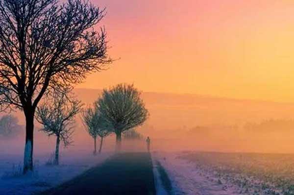 為什么蚊子永遠(yuǎn)不會被雨砸死？別被孩子問住了