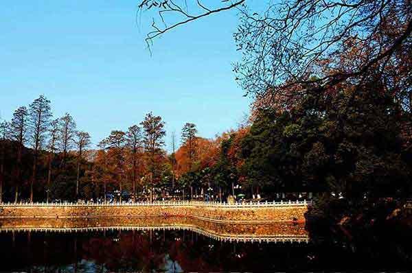 小孩不小心吞下蟑螂藥,搶救及時無大礙