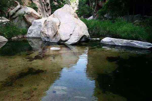 深圳消殺哪里有殺白蟻，居民如何預防白蟻