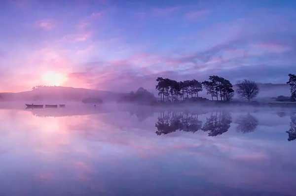 殺蟲公司專業(yè)團(tuán)隊(duì)才有好的效果