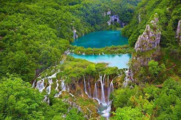 深圳殺蟲(chóng)公司 怎么名利雙收！這才是飛蟲(chóng)控制