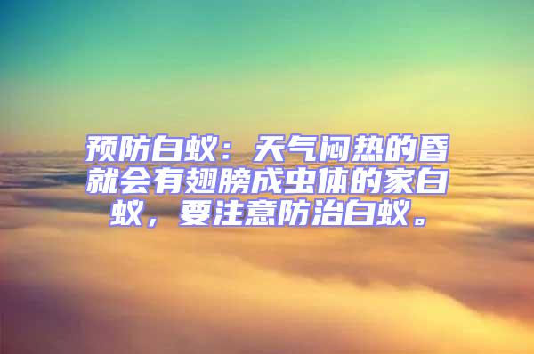 預(yù)防白蟻：天氣悶熱的昏就會(huì)有翅膀成蟲(chóng)體的家白蟻，要注意防治白蟻。