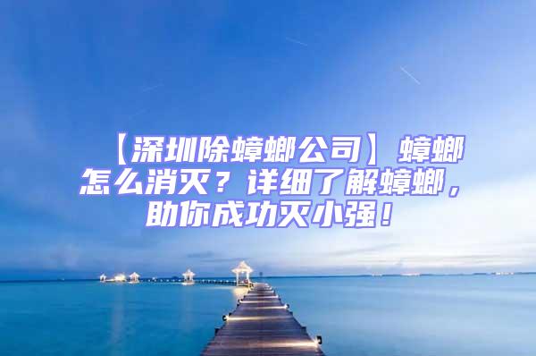 【深圳除蟑螂公司】蟑螂怎么消滅？詳細(xì)了解蟑螂，助你成功滅小強(qiáng)！