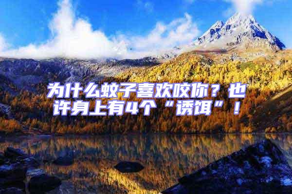 為什么蚊子喜歡咬你？也許身上有4個“誘餌”！