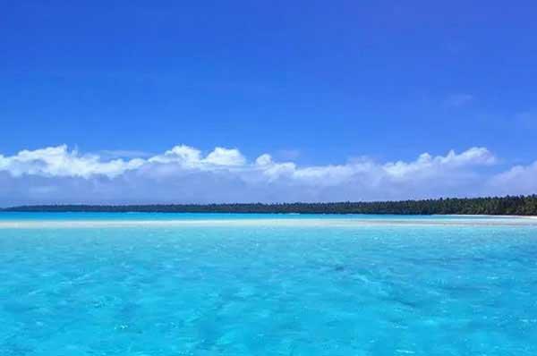 臭蟲危害多，如何消滅臭蟲？