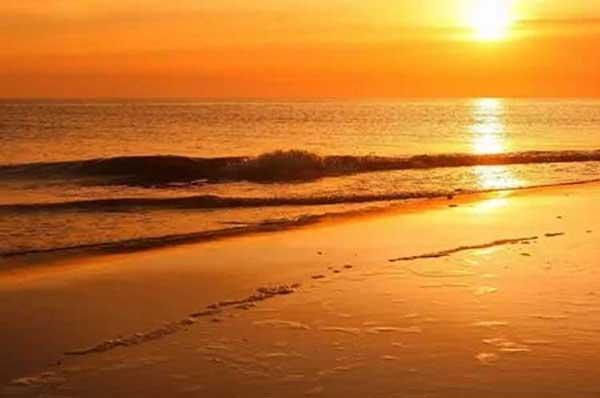 研究表明誘蚊誘卵器監(jiān)測(cè)白紋伊蚊誘卵效果顯著