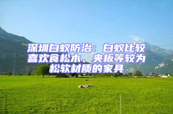 深圳白蟻防治：白蟻比較喜歡食松木、夾板等較為松軟材質(zhì)的家具