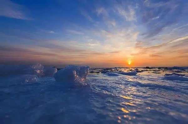 企業(yè)選擇殺蟲公司的必要性有哪些