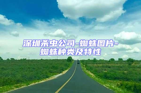 深圳殺蟲(chóng)公司-蜘蛛圖片-蜘蛛種類及特性