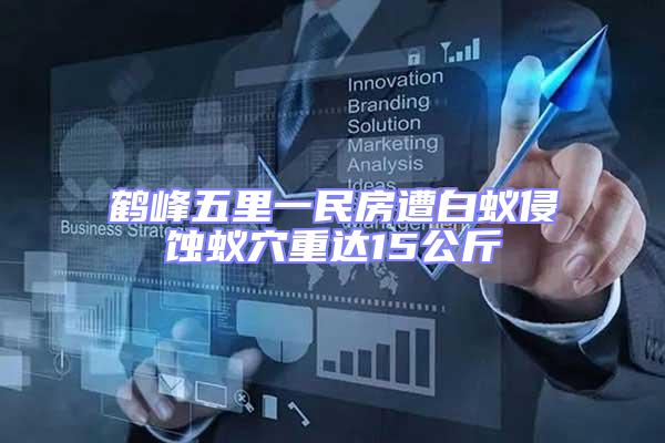 鶴峰五里一民房遭白蟻侵蝕蟻穴重達(dá)15公斤