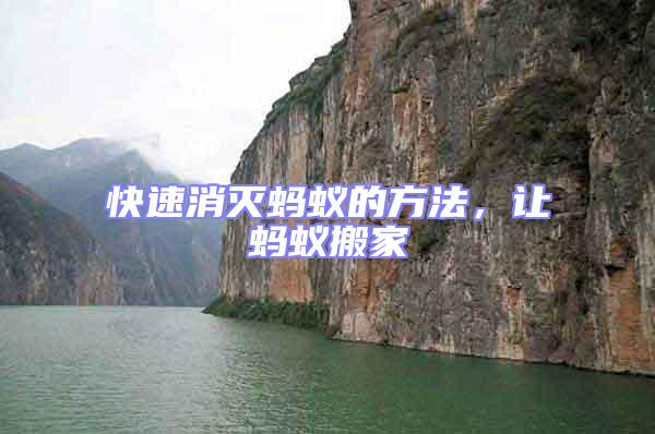 快速消滅螞蟻的方法，讓螞蟻搬家