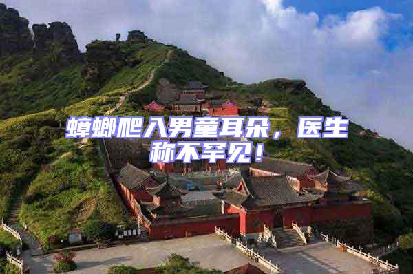 蟑螂爬入男童耳朵，醫(yī)生稱不罕見！