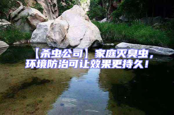 【殺蟲(chóng)公司】家庭滅臭蟲(chóng)，環(huán)境防治可讓效果更持久！