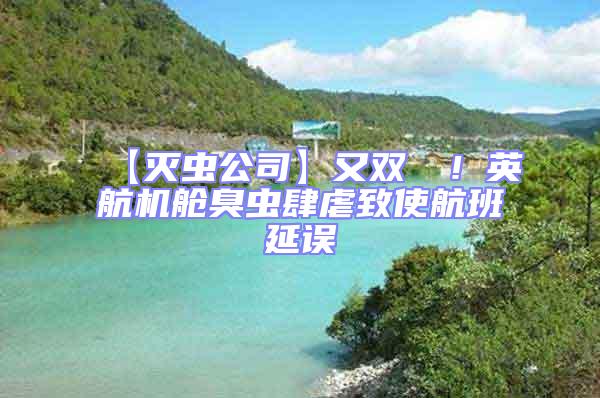 【滅蟲公司】又雙叒叕！英航機(jī)艙臭蟲肆虐致使航班延誤