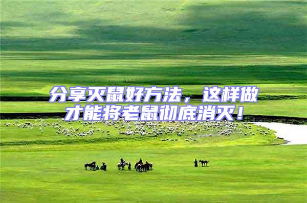 分享滅鼠好方法，這樣做才能將老鼠徹底消滅！