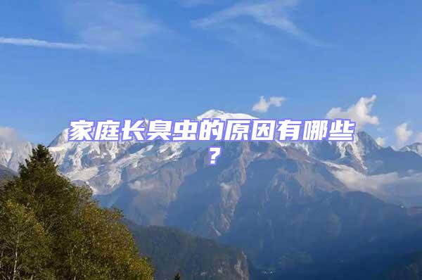 家庭長(zhǎng)臭蟲(chóng)的原因有哪些？