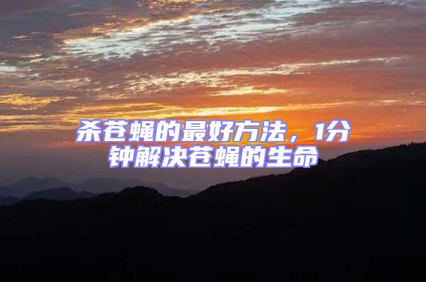 殺蒼蠅的最好方法，1分鐘解決蒼蠅的生命