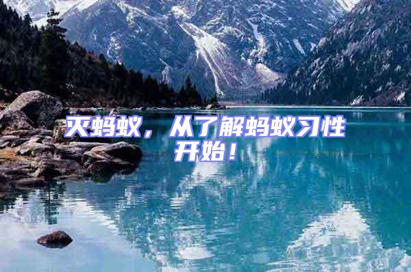 滅螞蟻，從了解螞蟻習(xí)性開始！